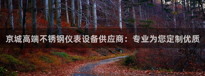 顺盈娱乐下载官网最新版