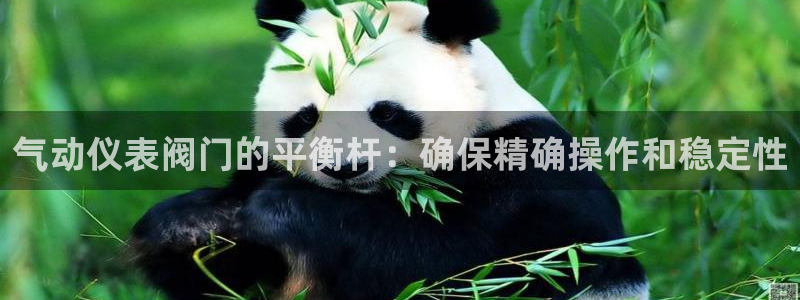 顺盈娱乐找382223