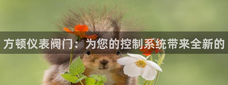 清远顺盈娱乐集团怎么样