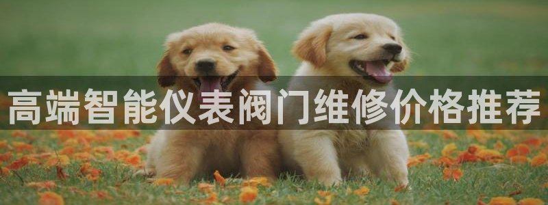 顺盈娱乐平台注册地址