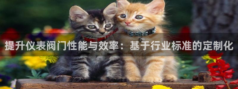 顺盈娱乐注册登录