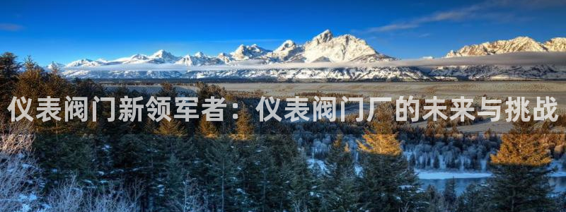 顺盈娱乐平台代理多少钱