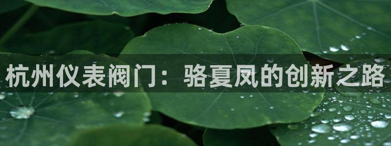 清城区顺盈娱乐