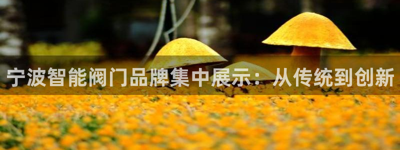 顺盈娱乐公司介绍