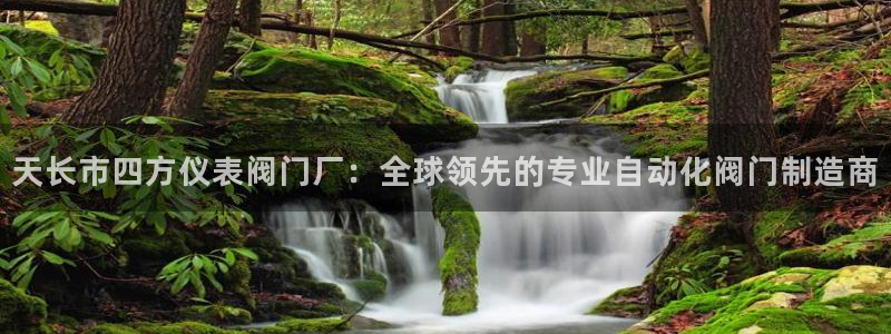 顺盈娱乐下载官网最新版