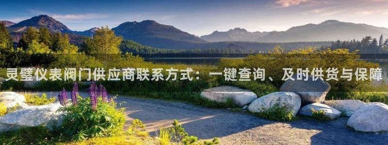 顺盈娱乐代理