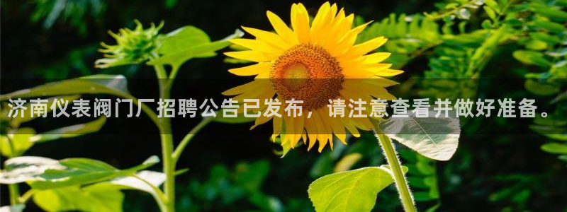 顺盈娱乐主管天原判官333OO
