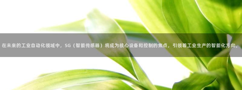 顺盈娱乐指究7276O