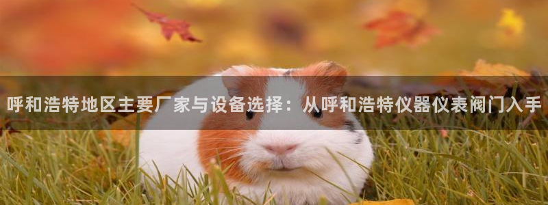 顺盈娱乐登录地址在哪