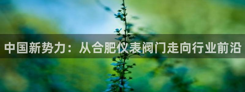 盈顺棋牌娱乐室怎么样