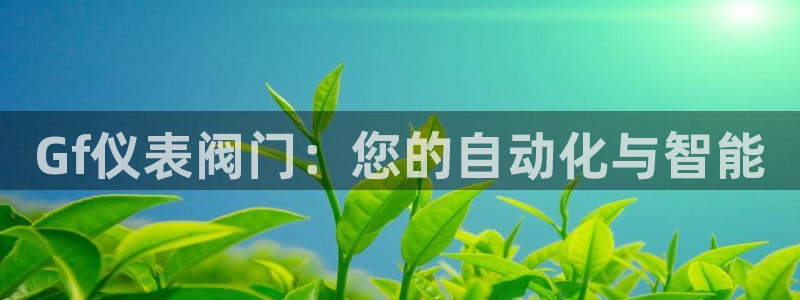 顺盈娱乐西班牙28房
