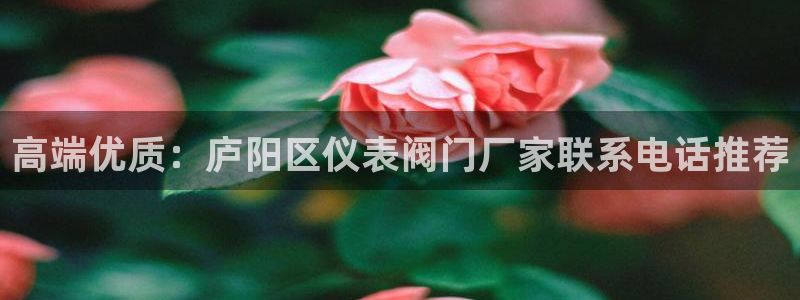 顺盈娱乐登录地址查询