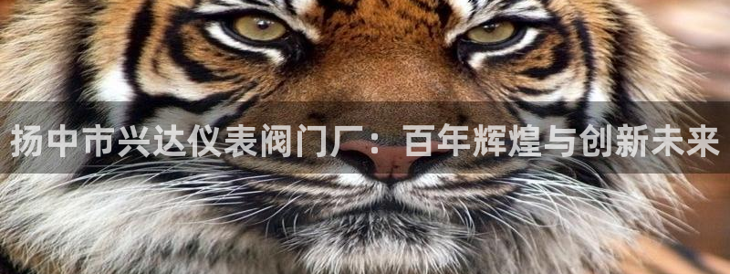顺盈娱乐语7O777