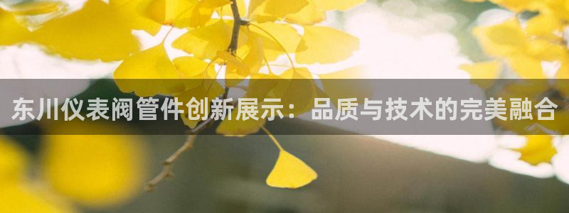 清远顺盈娱乐公司地址