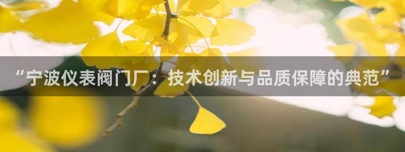 顺盈娱乐注册登录地址