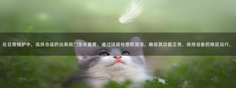 顺盈娱乐2