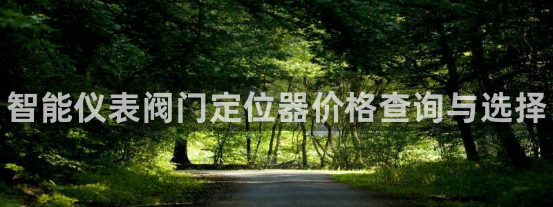 顺盈娱乐 找86555