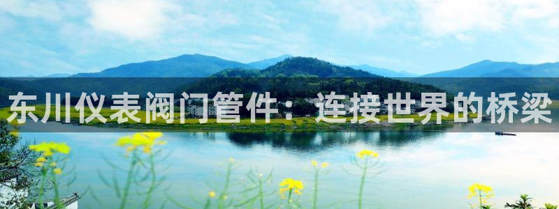 顺盈娱乐下载官网最新版