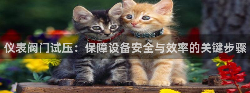 顺盈娱乐主管联天神779O3