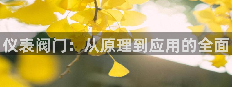 清远市顺盈广场谷哥娱乐ktv