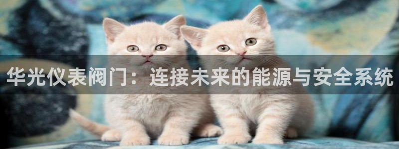 顺盈平台娱乐怎么样啊