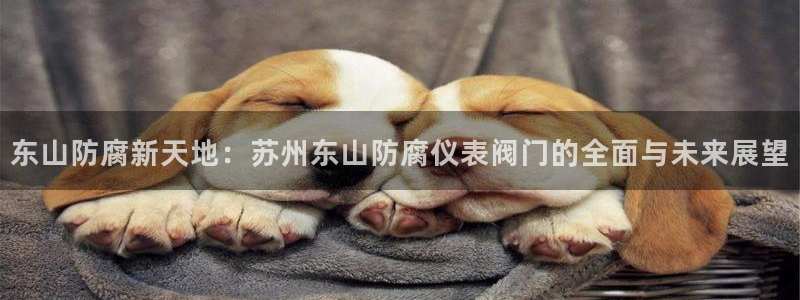 顺盈娱乐招商网判官333OO